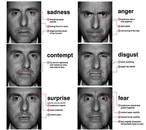 cheating madness face|Reading Facial Expressions: 7 Expressions, Interpret Them.